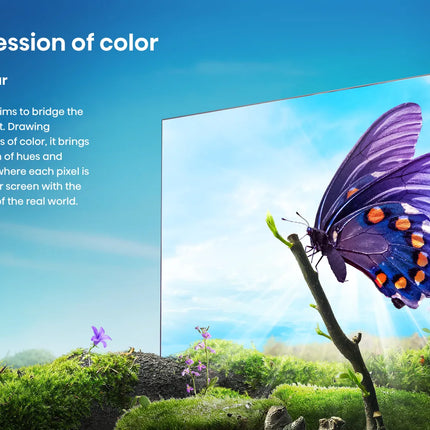 55A6N Hisense A6N Smart TV